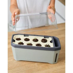 Anzuchtgefäß Harry Herbs mit Deckel hellgrau