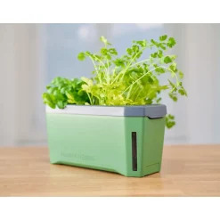 Anzuchtgefäß Harry Herbs mit Deckel dunkelgrün