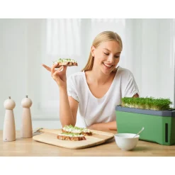 Anzuchtgefäß Harry Herbs mit Deckel dunkelgrün