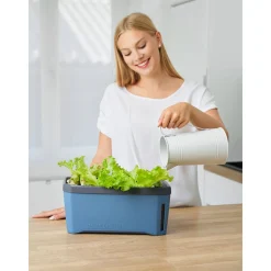 Anzuchtgefäß Harry Herbs mit Deckel blau