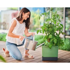 Anzuchtsgefäß Tom Tomato dunkelgruen