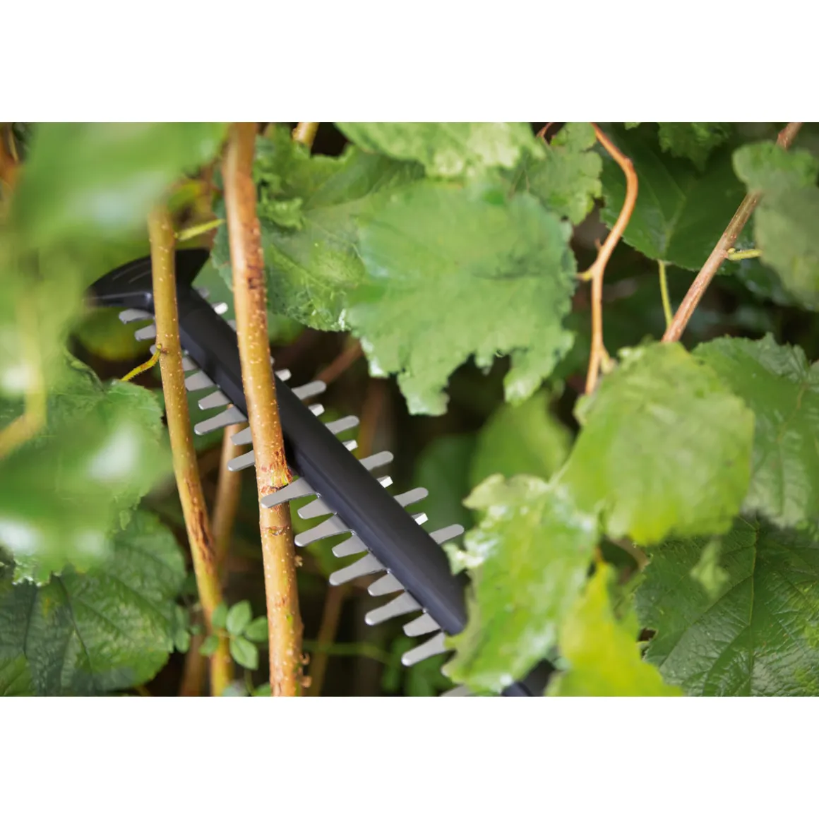 Bosch Akku-Heckenschere AdvancedHedgeCut 18V-55