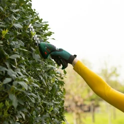 Bosch Gras-und Strauchschere Isio