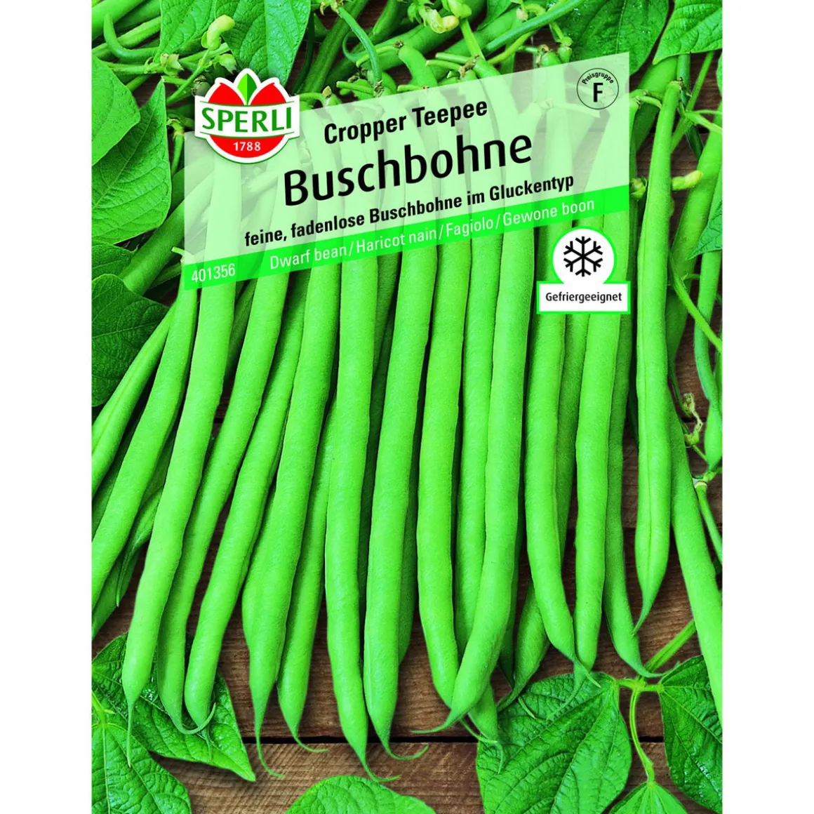 Buschbohne Cropper Teepee