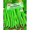 Buschbohne Delinel