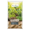 Compo Plantiflor BIO Kräuter-/Anzuchterde 20 L