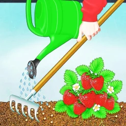 Compo BIO Beeren Langzeit-Dünger mit Schafwolle 0,75 L