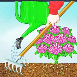 Compo BIO Rhododendron- und Hortensien Langzeit-Dünger mit Schafwolle 2 L