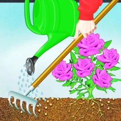 Compo BIO Rosen Langzeit-Dünger mit Schafwolle 2 L