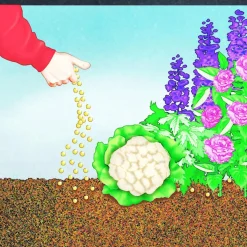 Compo BIO Universal Langzeit-Dünger mit Schafwolle 2 kg