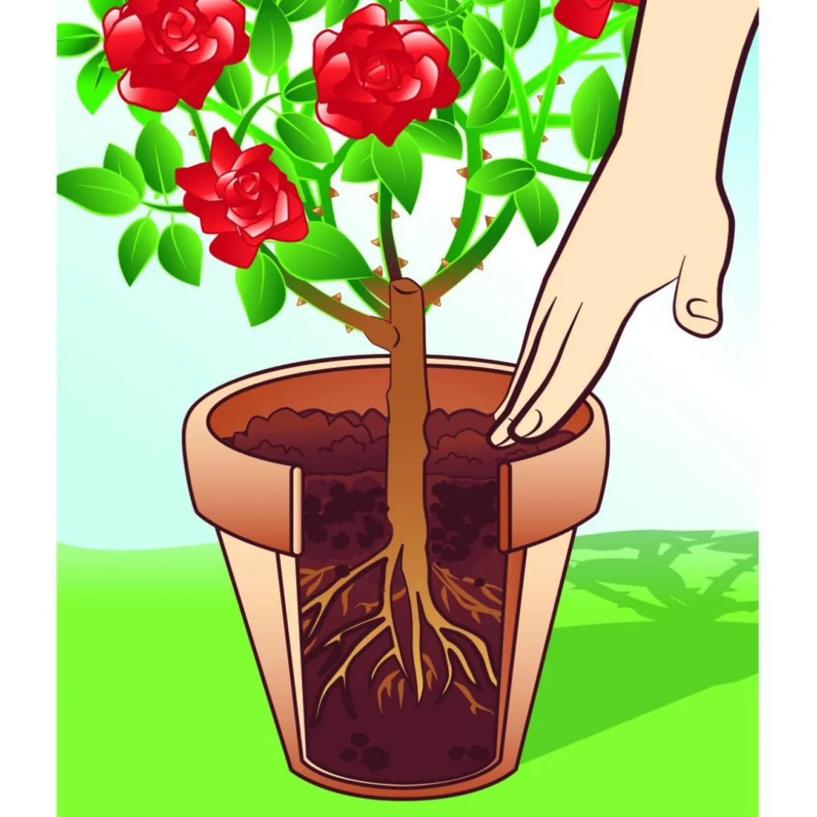 Compo BIO Universal-Erde torffrei 7,5 L