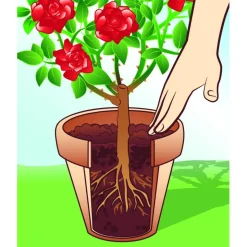 Compo BIO Universal-Erde torffrei 30 L