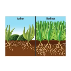 Compo FLORANID Rasendünger mit Moosvernichter für 100 m² 3 L