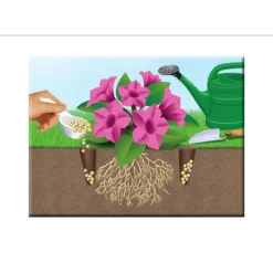 Compo 5in1 Pflanz-Dünger und mehr 1,5 kg