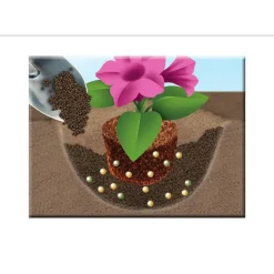 Compo 5in1 Pflanz-Dünger und mehr 1,5 kg