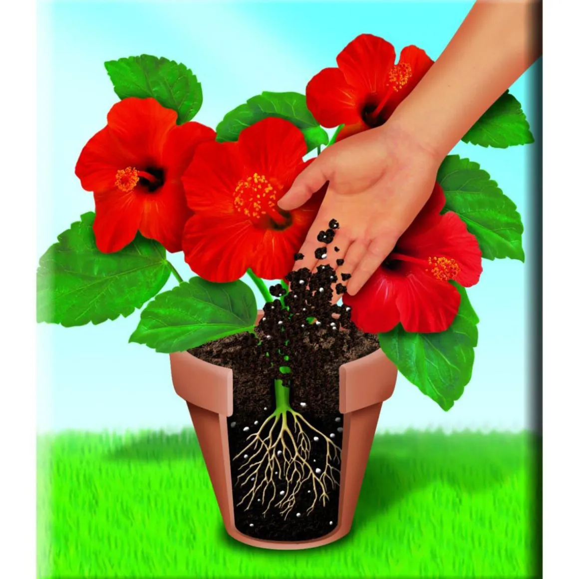 Compo Qualitäts-Blumenerde 50 L