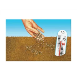 Compo Rasensaat Spiel und Sport Aktion 4 kg