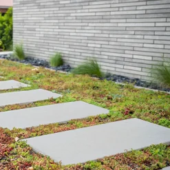 Diephaus Gehwegplatte Beton zementgrau 60 x 40 x 4 cm