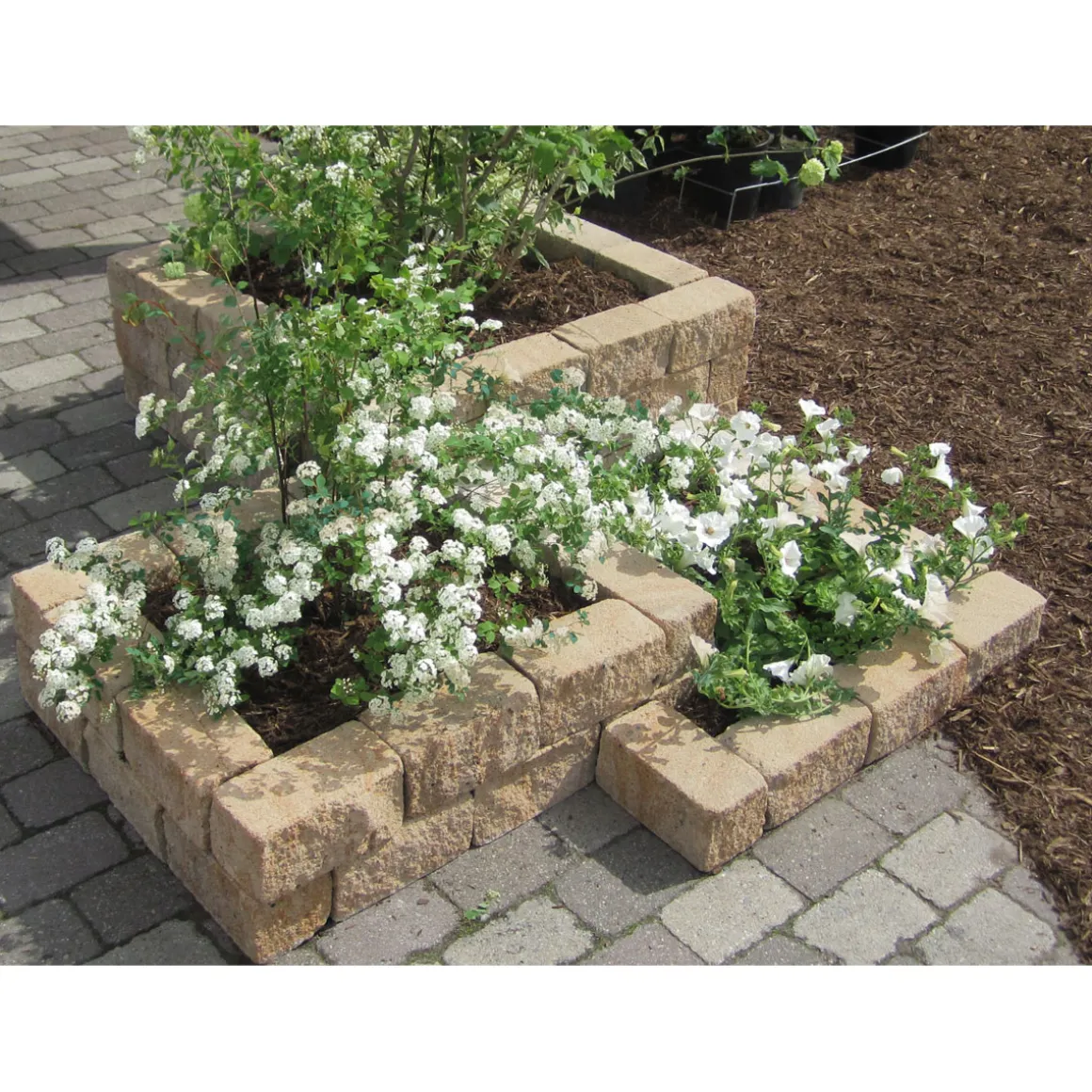 Diephaus Mauerstein Cup Sandstein 30 x 10 x 10 cm PE3