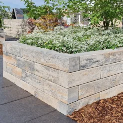 Diephaus Mauerstein Linear Kombi Muschelkalk 80 x 12,5 x 12,5 cm