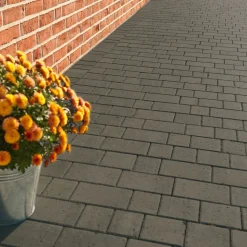 Diephaus Pflaster Village Basalt 6 cm 0,97 m2 pro Lage