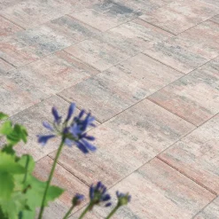 Diephaus Terrassenplatte No. 1 Nature muschelbeige 50 x 25 x 4 cm