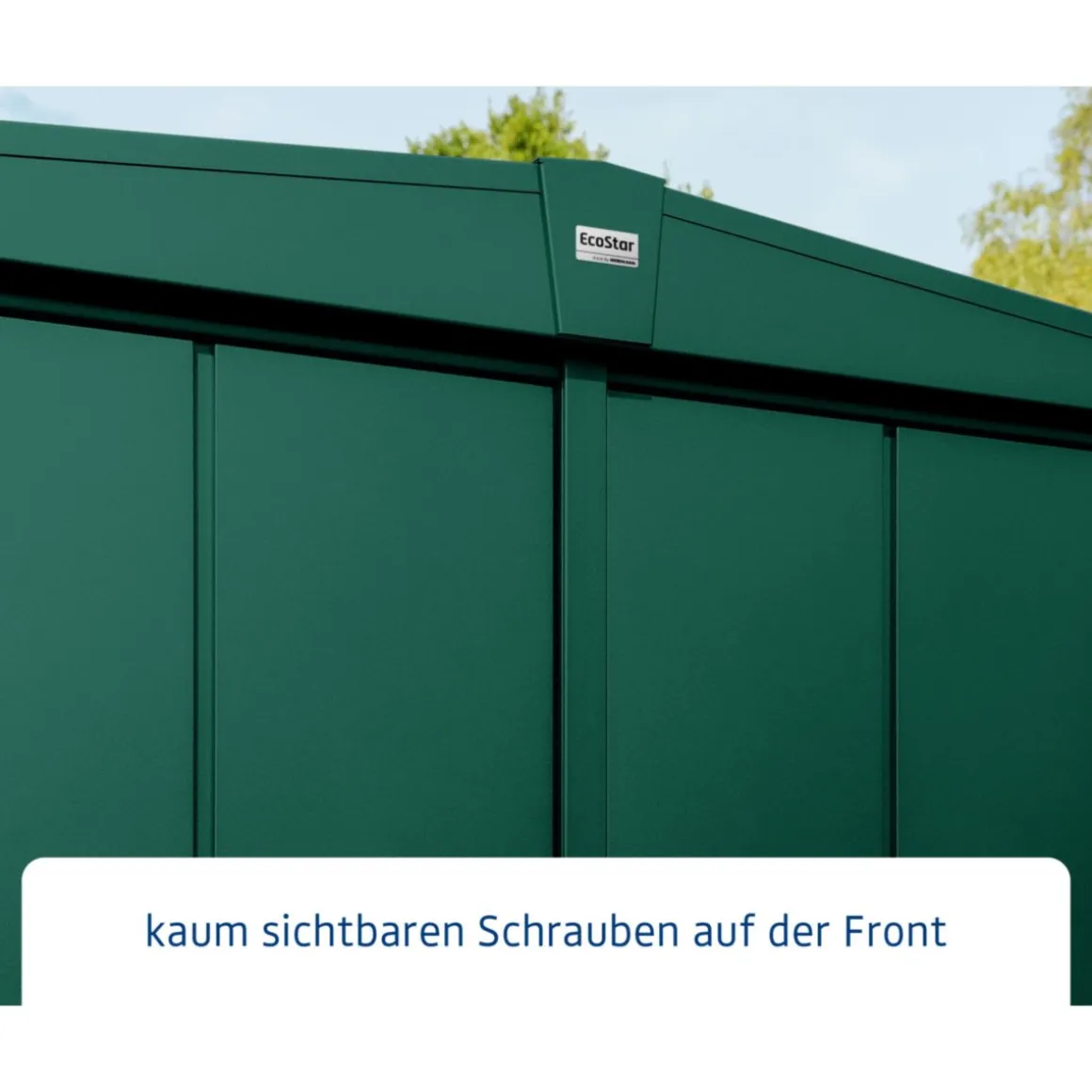 EcoStar Gerätehaus Elegant-STyp 2RAL6005 1 flg