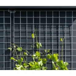 EcoStar Rankgitter Größe 1