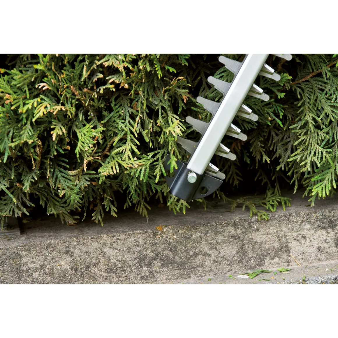 Einhell Akku-Heckenschere GE-CH 1855/1 Li - Solo