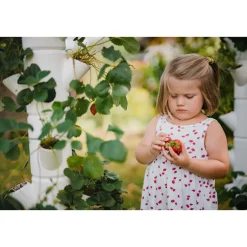 Erdbeerturm Sissi Strawberry Starter-Set weiß