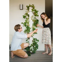 Erdbeerturm Sissi Strawberry Infinity weiss