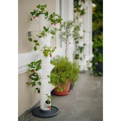 Erdbeerturm Sissi Strawberry Classic weiß