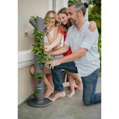 Erdbeerturm Sissi Strawberry Classic anthr.