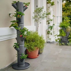 Erdbeerturm Sissi Strawberry Classic anthr.