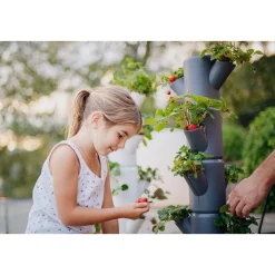 Erdbeerturm Sissi Strawberry Classic anthr.