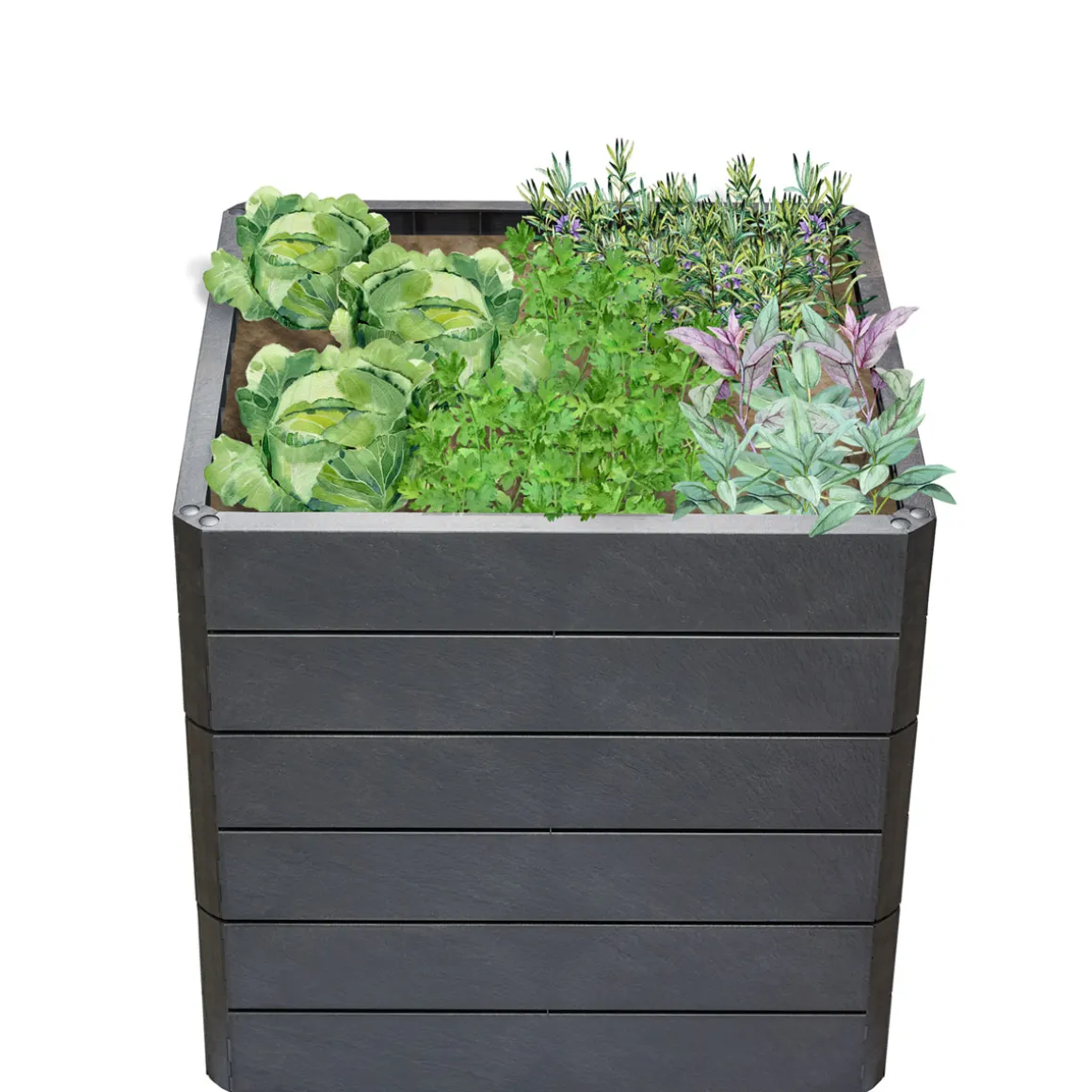 Garantia Hochbeet ERGO QUADRO L 75 Stone inkl FLORA