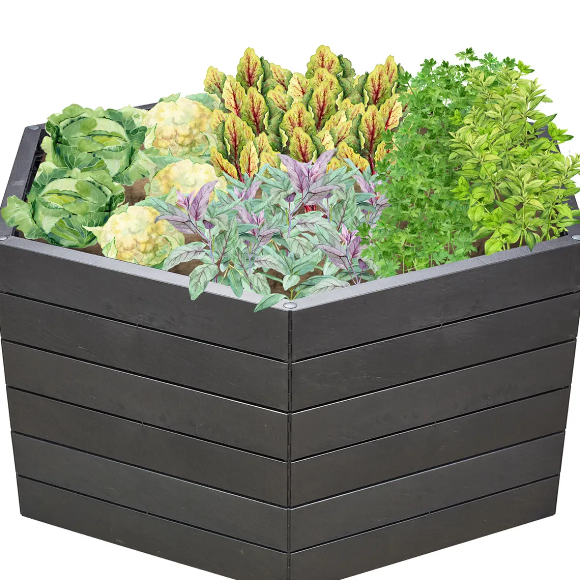 Garantia Hochbeet ERGO XL 75 Stone inkl FLORA