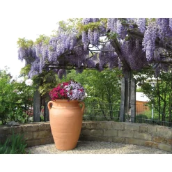 Garantia Pflanz-Amphore Antik Terracotta