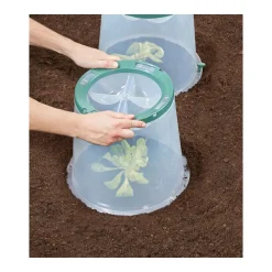 Garantia Pflanzglocken-Set Sunny 2-teilig