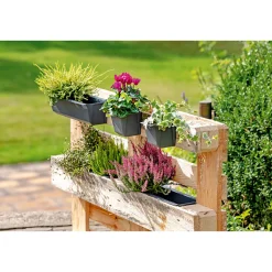 Geli Pflanzgefäß Easy 37 x 14 cm anthrazit