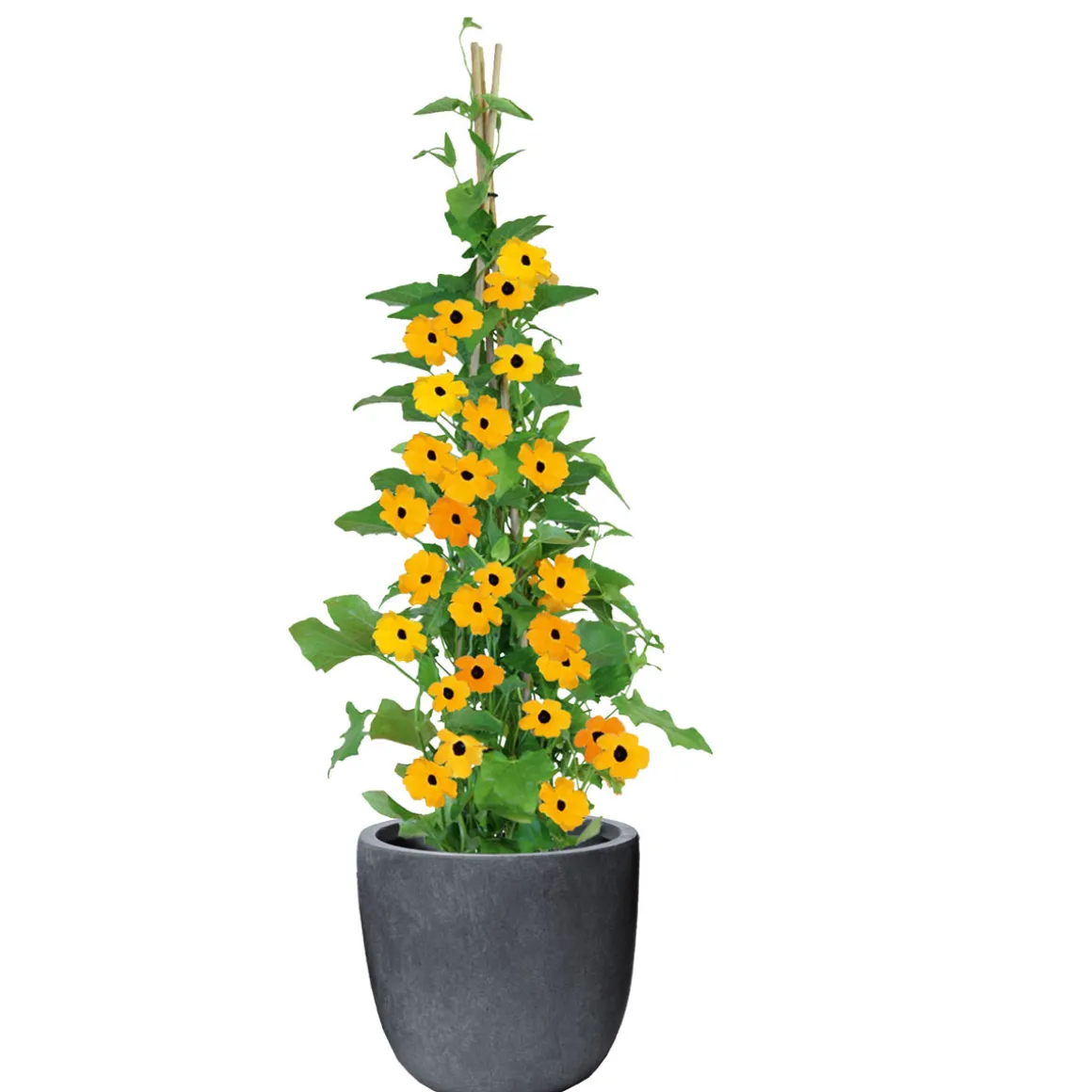 Haveson Blumentopf Granite Durchmesser 28 x 27 cm