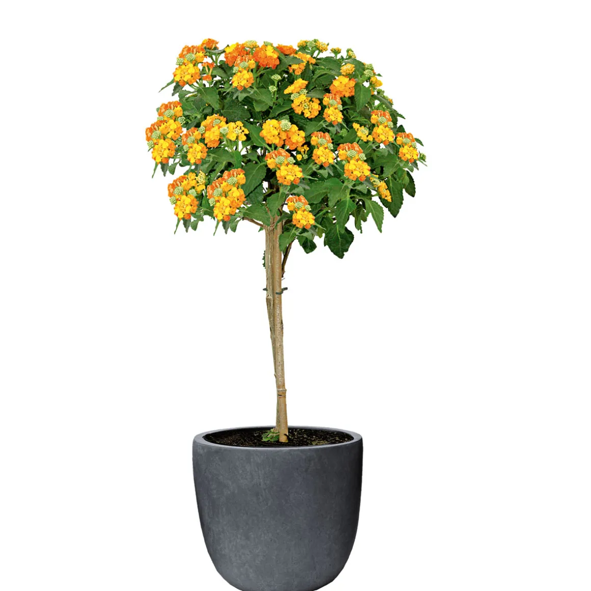 Haveson Blumentopf Granite Durchmesser 28 x 27 cm