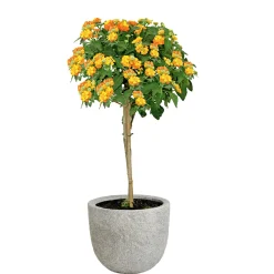 Haveson Fibreclaykübel Durchmesser 45 x 38 cm Natursteinoptik