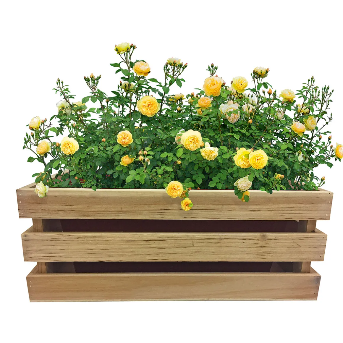 Haveson Pflanzkiste Casella