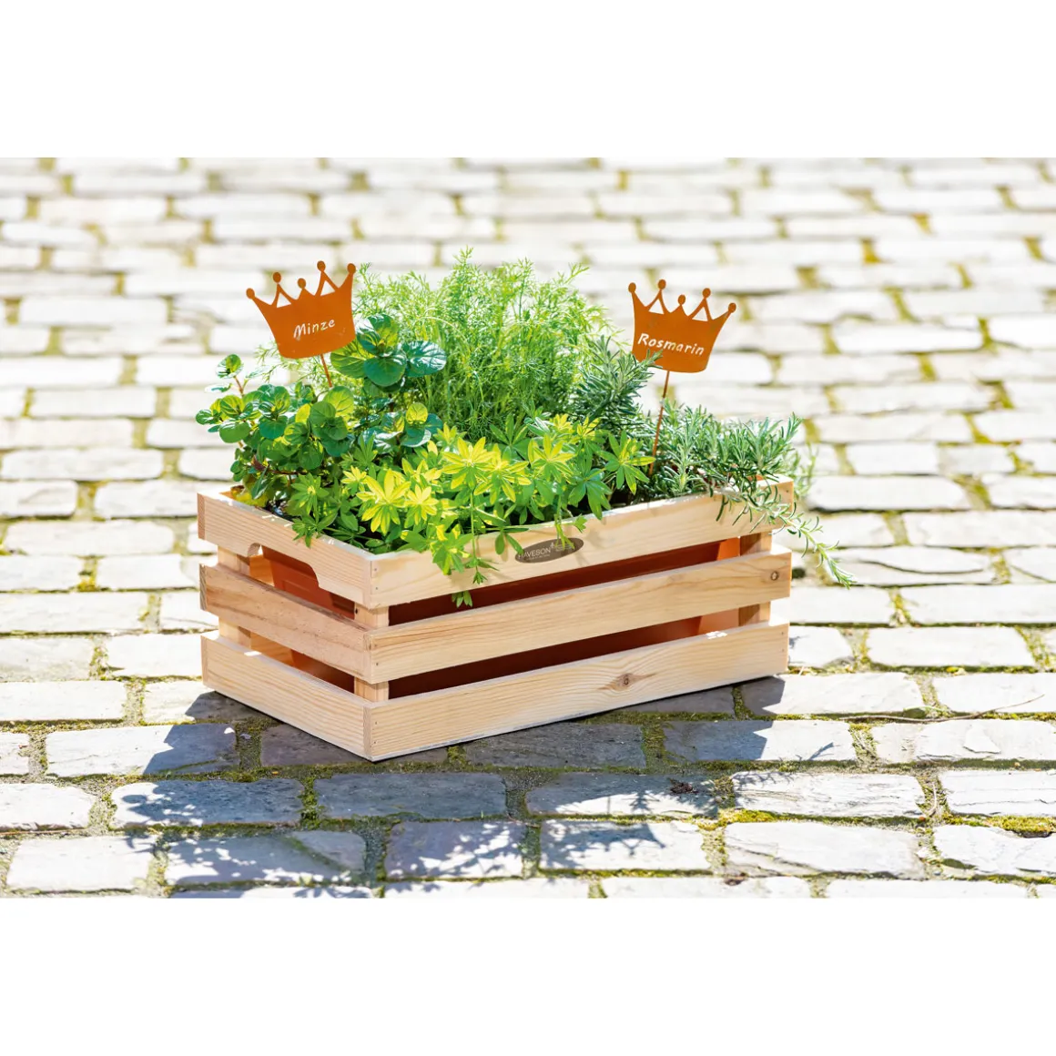 Haveson Pflanzkiste Casella