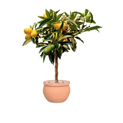 Haveson Pflanztopf Bavaria Durchmesser 40 cm