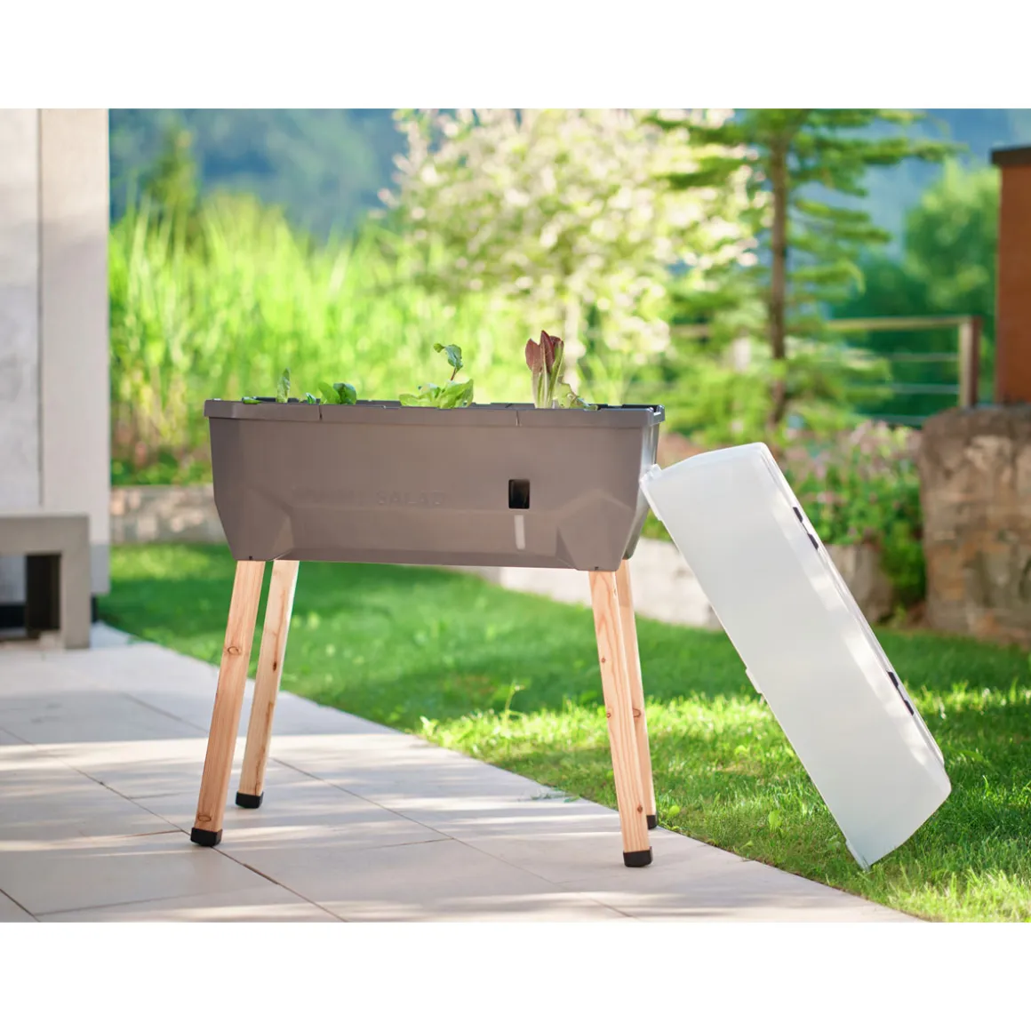 Hochbeet Sammy Salad mit Deckel anthrazit