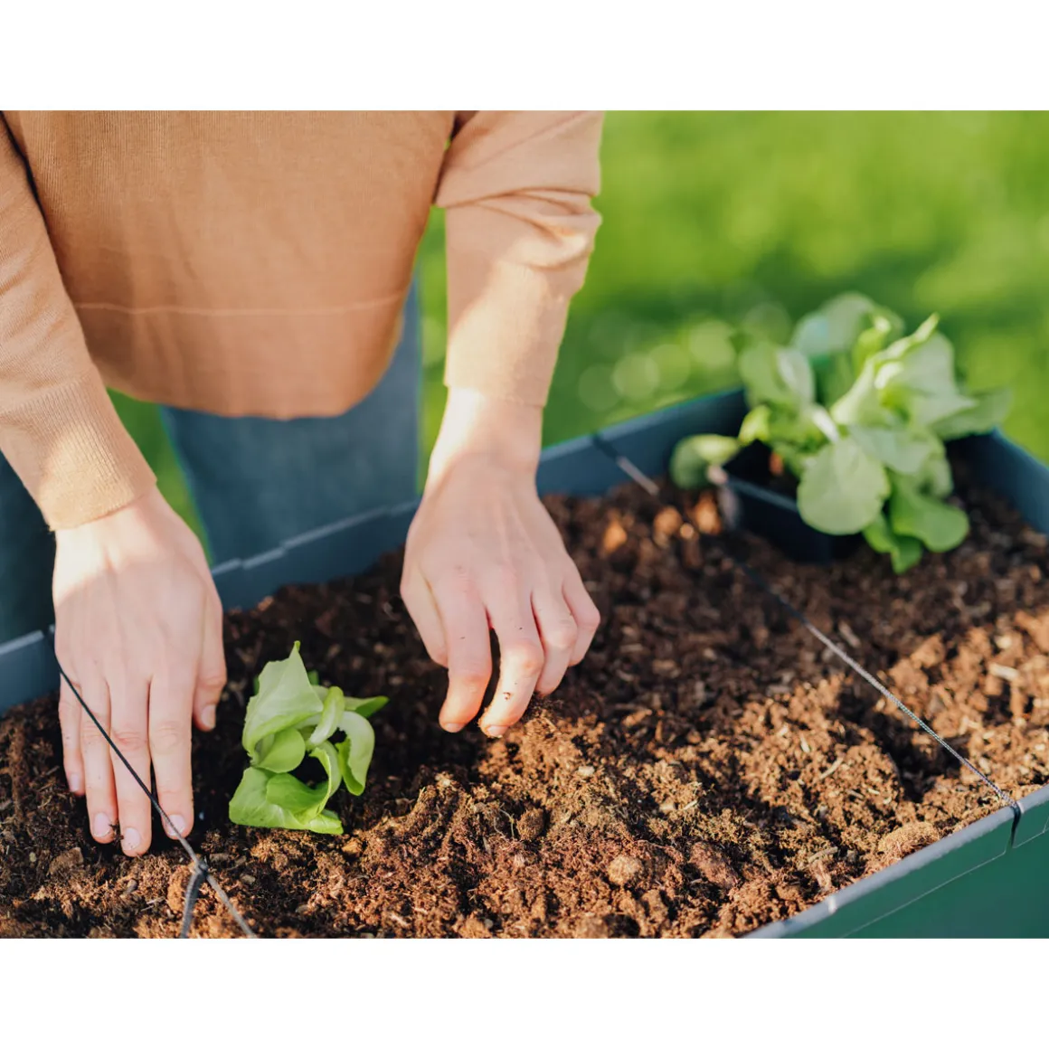 Hochbeet Sammy Salad mit Deckel anthrazit
