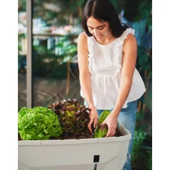 Hochbeet Sammy Salad mit Deckel hellgrau