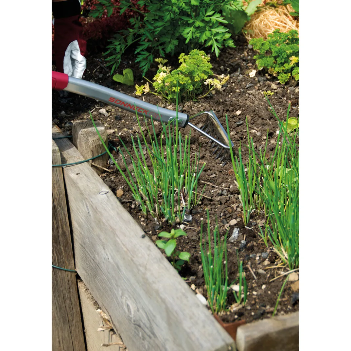 Hochbeetkleinrechen Premium 500 mm